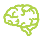 brain icon