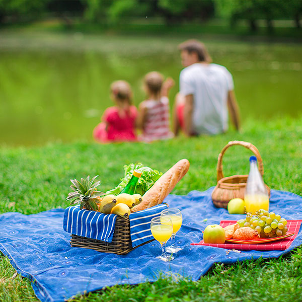 Getting Back To Nature Top Line Recruiting picnic